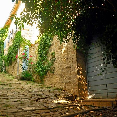 Ruine-Motovun Dh Villa Kültér fotó