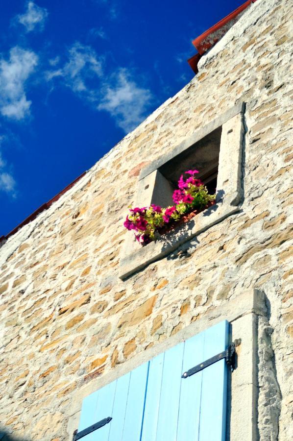 Ruine-Motovun Dh Villa Kültér fotó