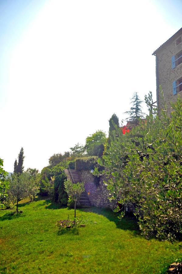 Ruine-Motovun Dh Villa Kültér fotó