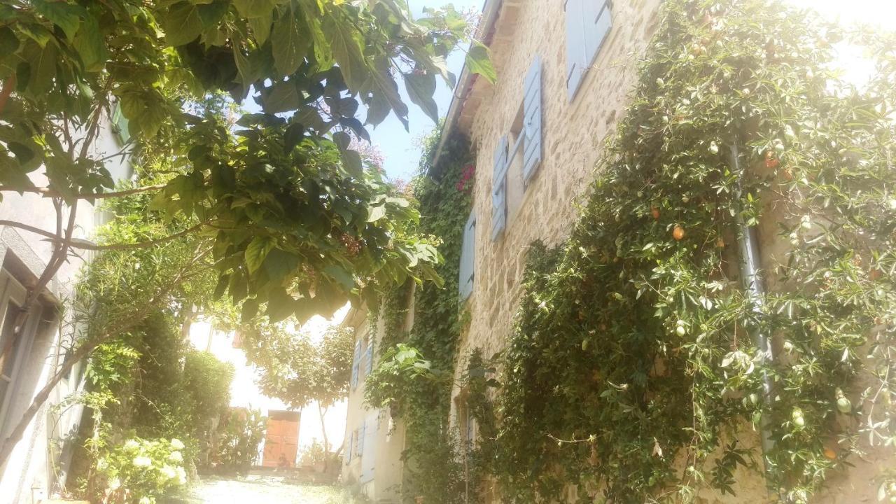 Ruine-Motovun Dh Villa Kültér fotó